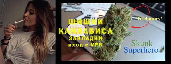 прущий лед Инсар