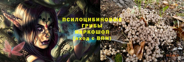 spice Баксан