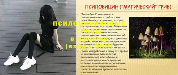 таблы Армянск