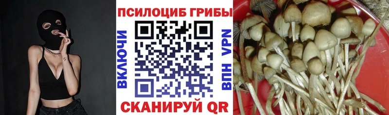 Псилоцибиновые грибы MAGIC MUSHROOMS  Баксан 